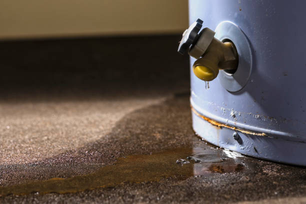 Best Carpet water damage restoration  in Wathena, KS