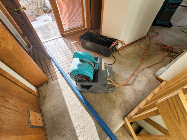 Best Basement water damage restoration  in Wathena, KS