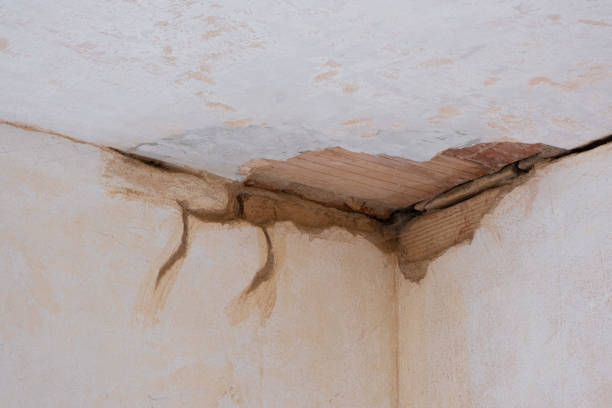 Best Emergency water damage restoration  in Wathena, KS