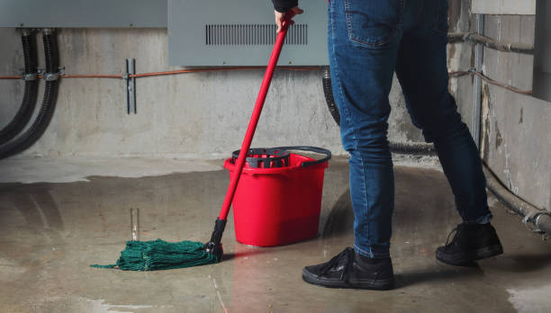 Best Carpet water damage restoration  in Wathena, KS