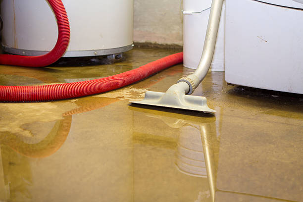 Best Water damage restoration near me  in Wathena, KS