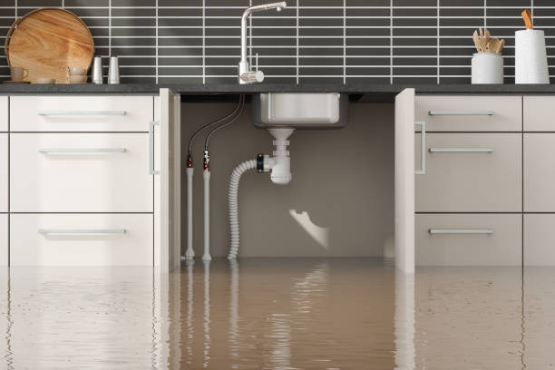 Best Water damage restoration near me  in Wathena, KS