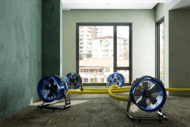 Best 24/7 water damage repair  in Wathena, KS